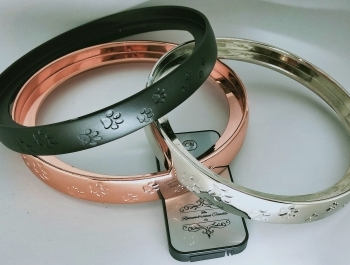 Wanting to celebrate fond memories of your pet